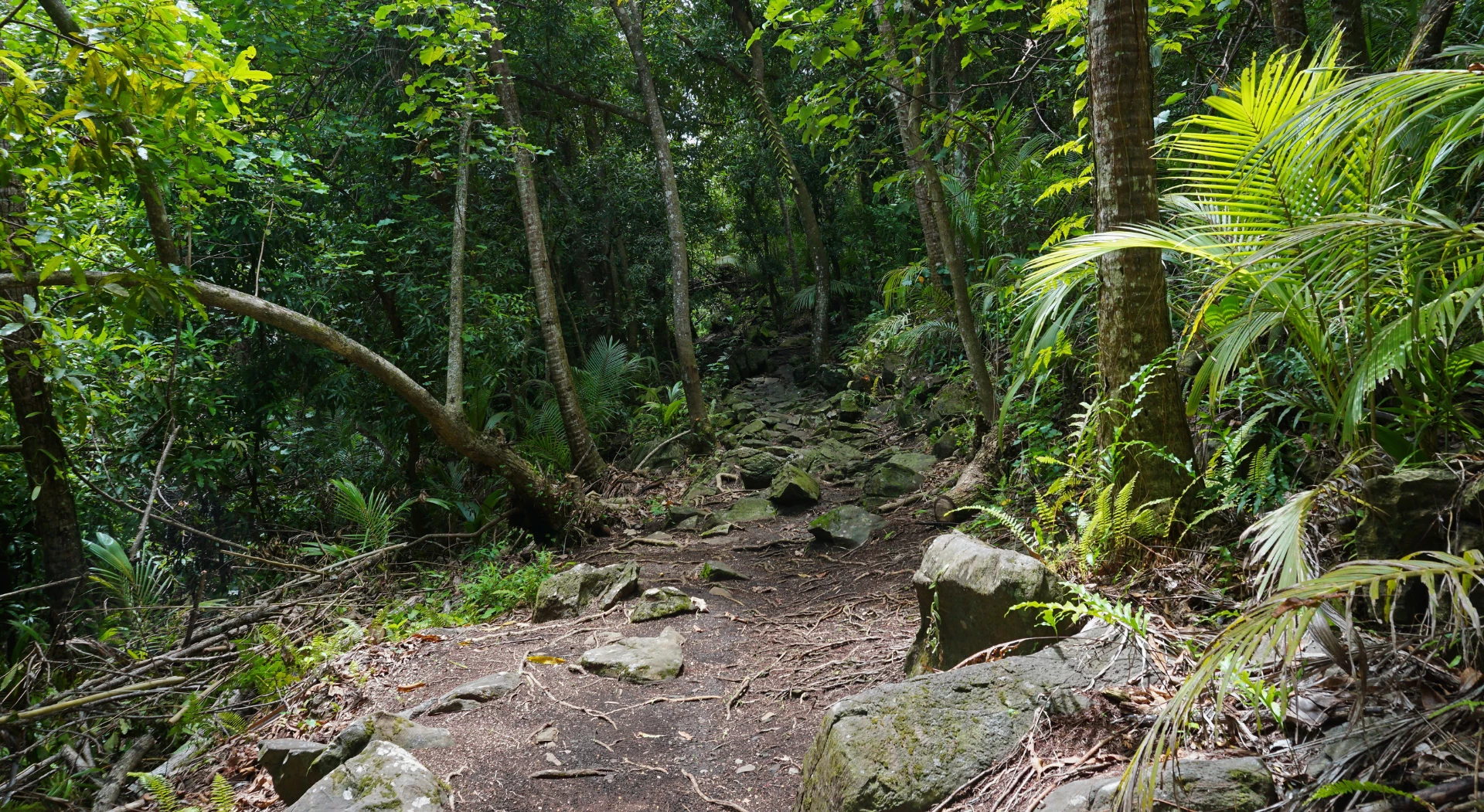Hiking in French Polynesia