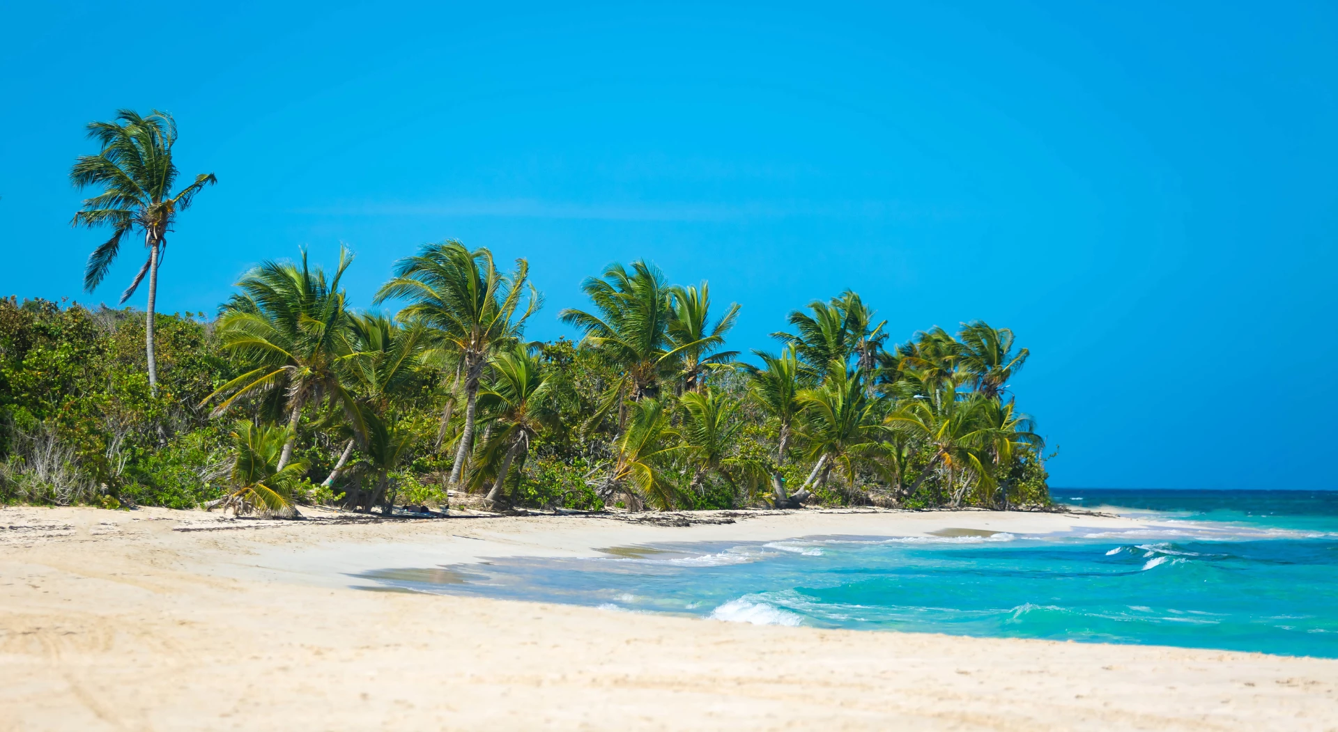 Luxury Puerto Rico