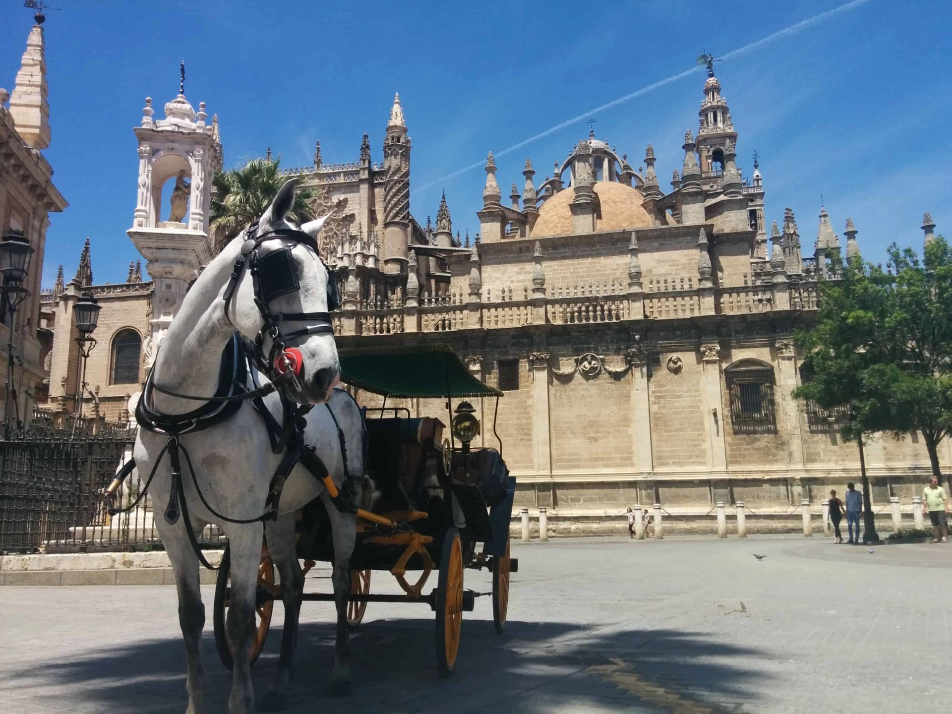 Gay Group Trip: Spanish Adventure