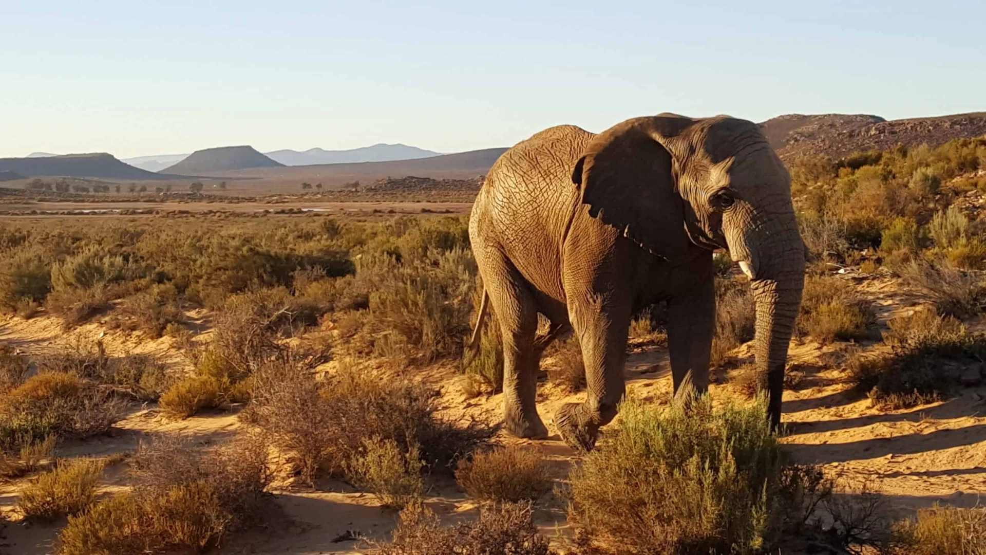 Day 7 To 9: Kruger Park