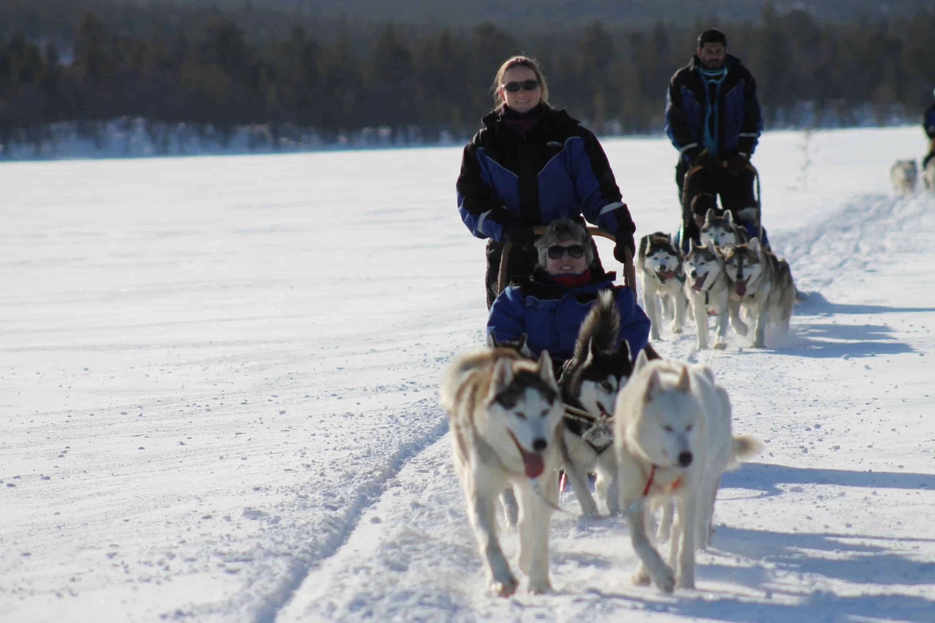 Husky Sledding