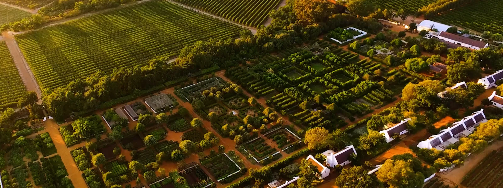The Best Luxury Hotels in South Africa’s Winelands