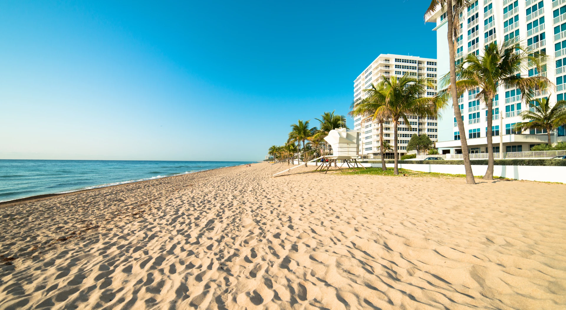 Miami: The Out Of Office Collection