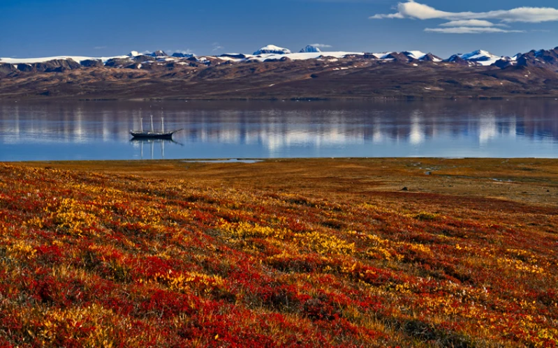 Day 8: Hurry Inlet & Scoresbysund – Fossils, Fjords & Arctic History