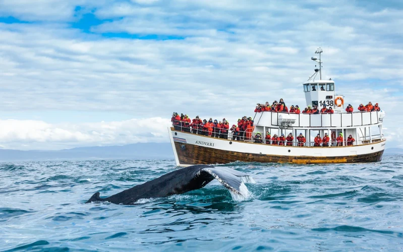 Iceland Uncharted: Volcanoes, Hikes and Hot Springs