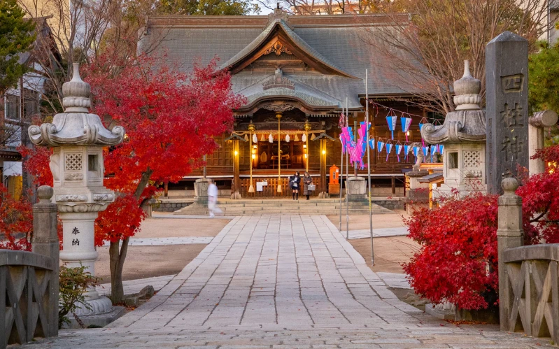 Day 7: Matsumoto Castle & Cultural Immersion