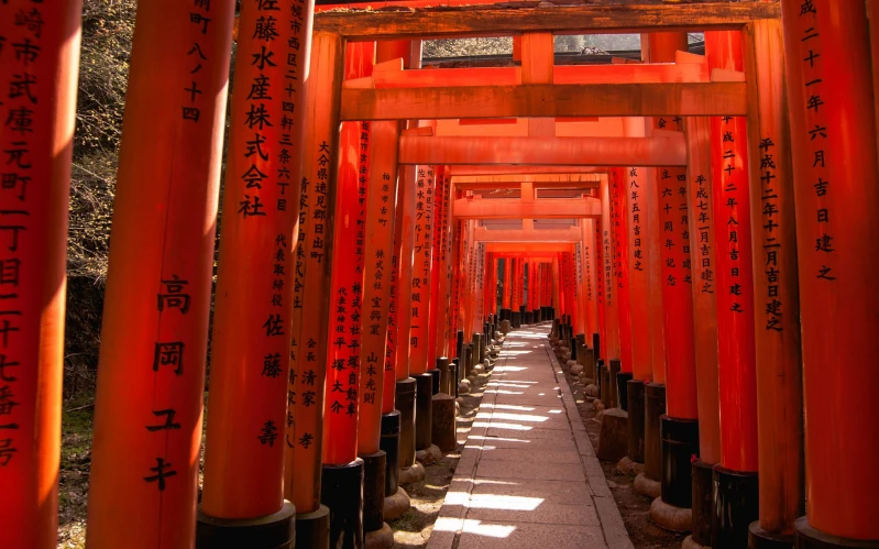 Luxury Japan Winter Escape