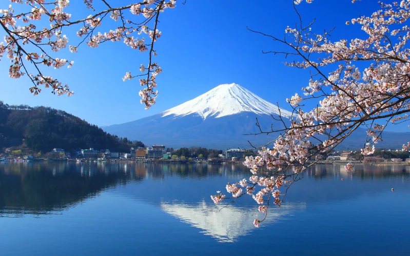 Day 5: A Day of Scenic Beauty – Hakone & Mount Fuji Views