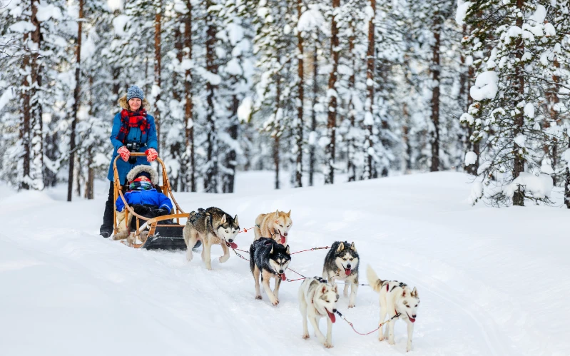 Finland Family Winter Escape