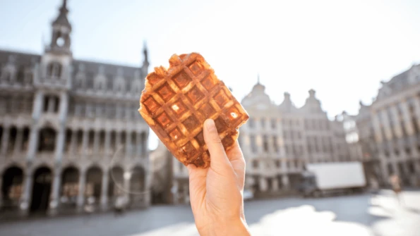Canals to Culture: Gay River Cruise from Amsterdam to Brussels
