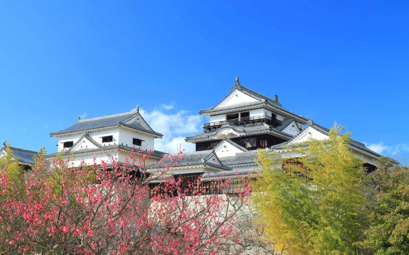 Day 10: Castles, Gardens & Hot Springs