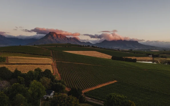 The Best Luxury Experiences in South Africa's Winelands