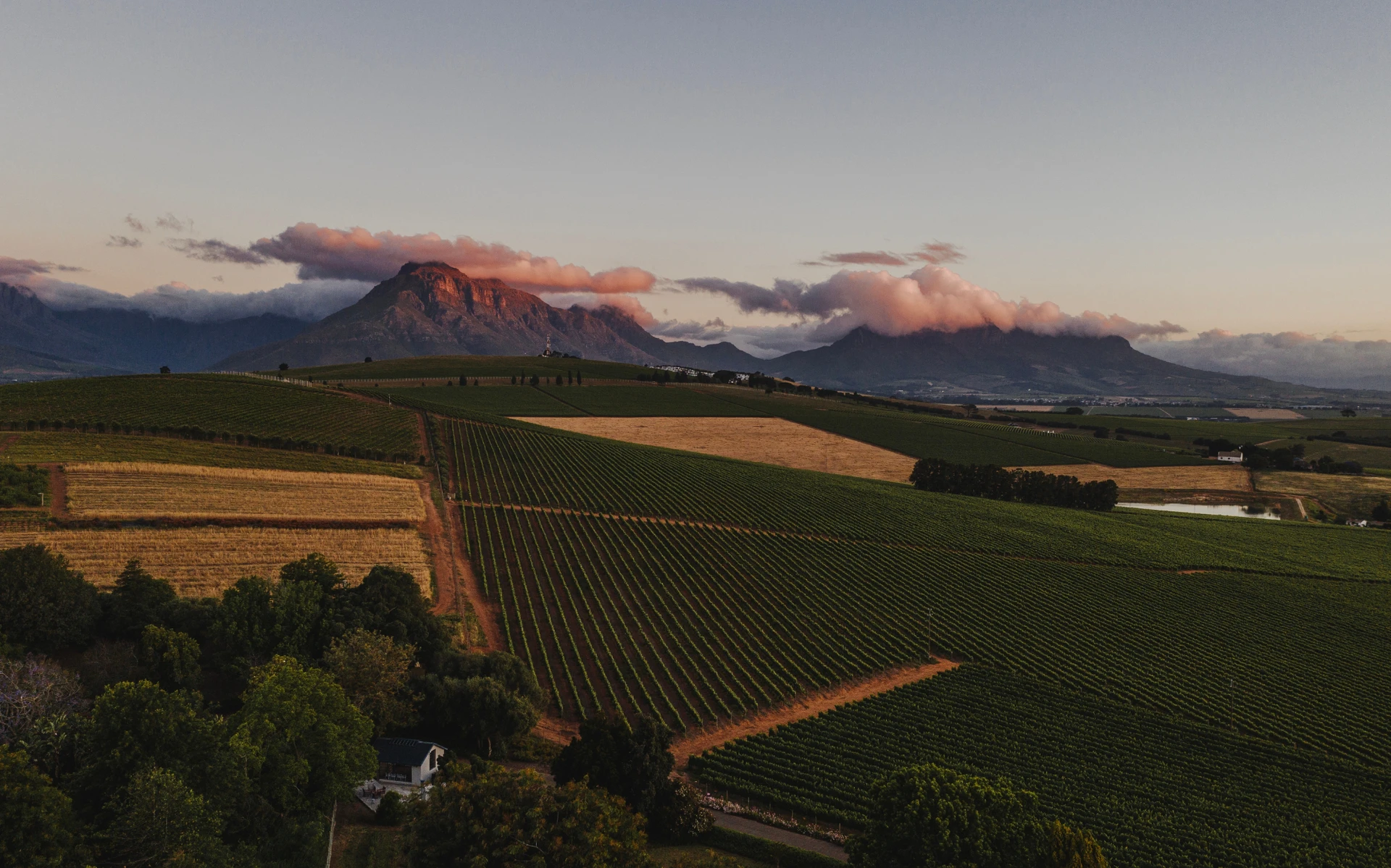 The Best Luxury Experiences in South Africa’s Winelands