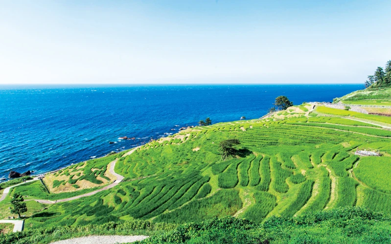 Day 3: Noto Peninsula – Untouched Coastal Beauty