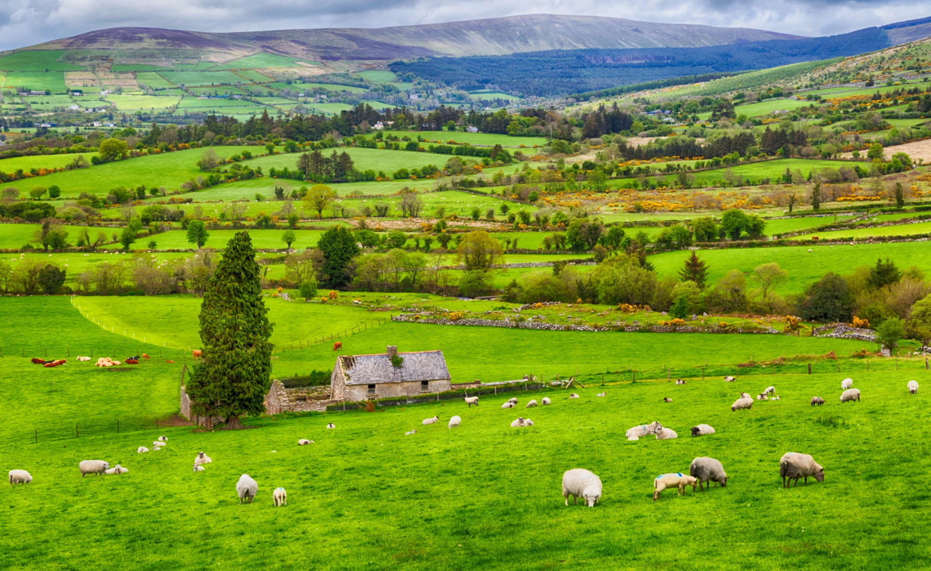 Ireland