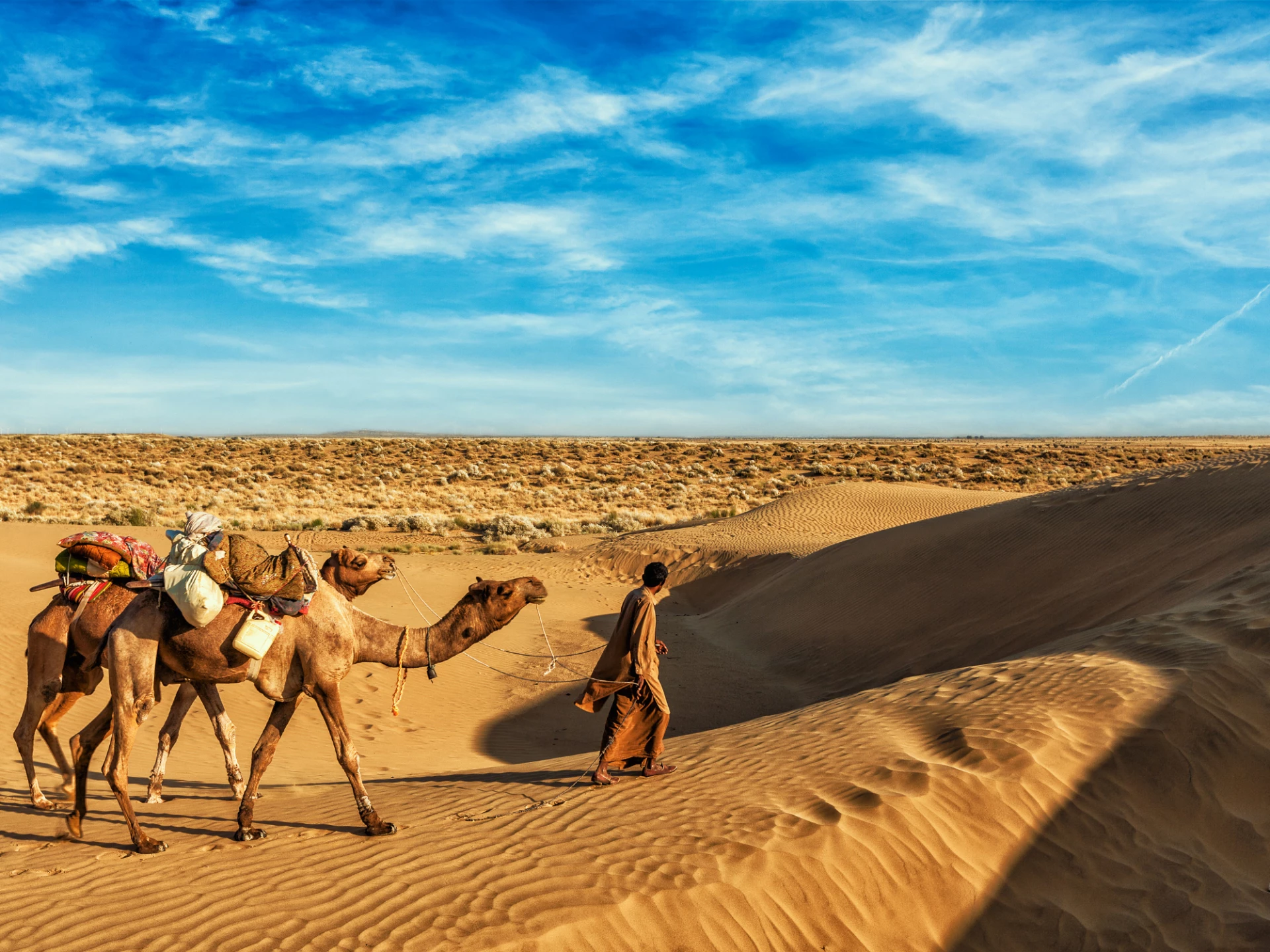 The Best Of Rajasthan