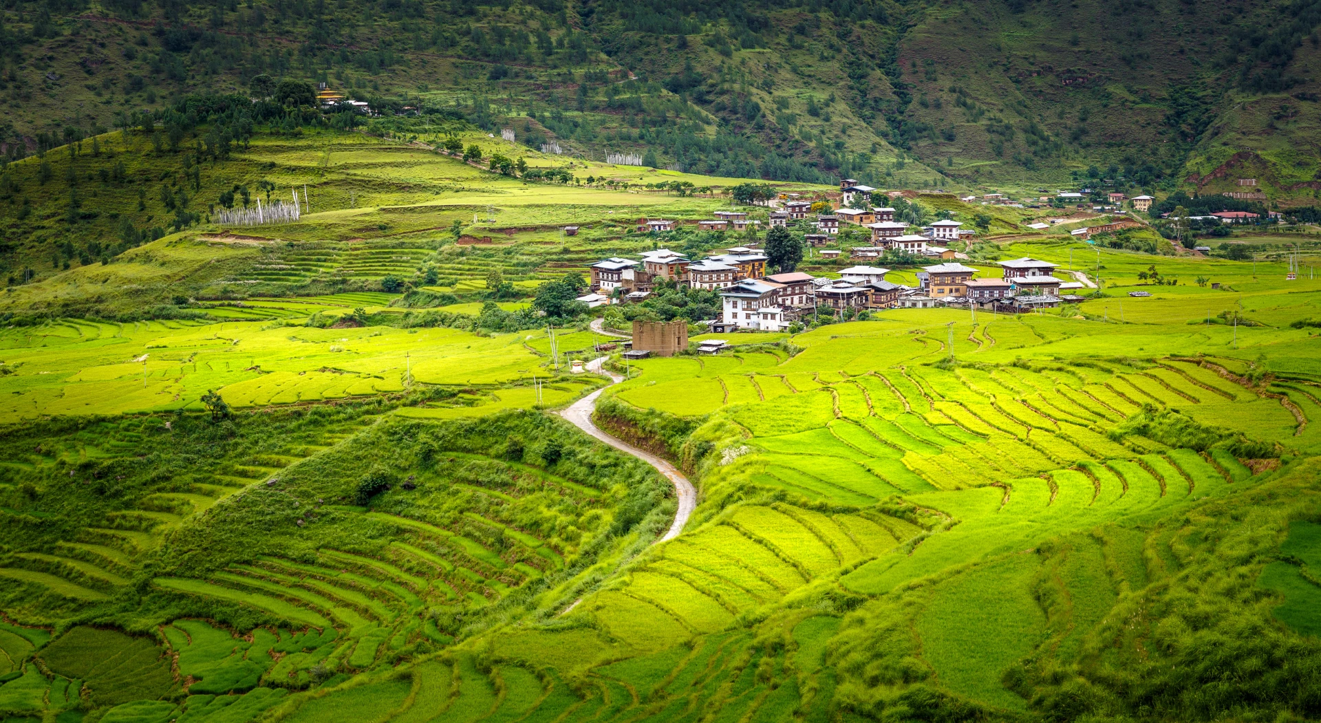 Gay Group Trip: Mystical Bhutan Adventure
