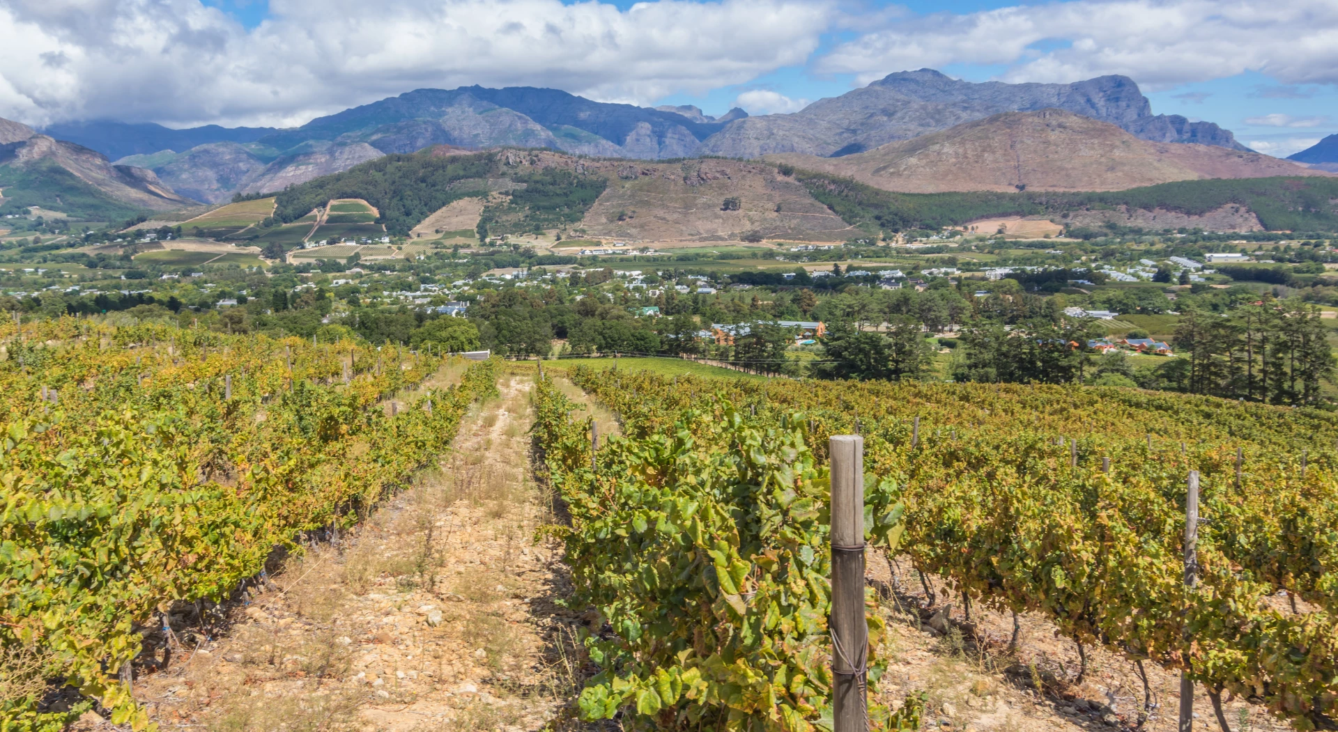 Boutique Cape Town and Wine Region