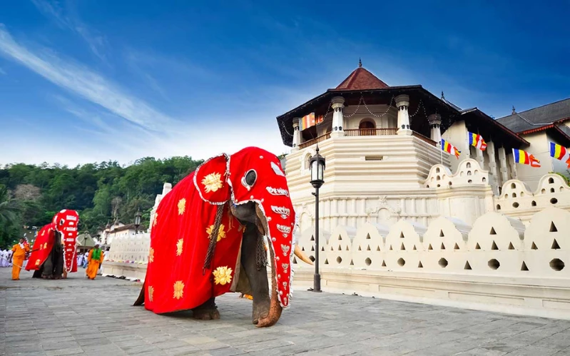 Classic Sri Lanka