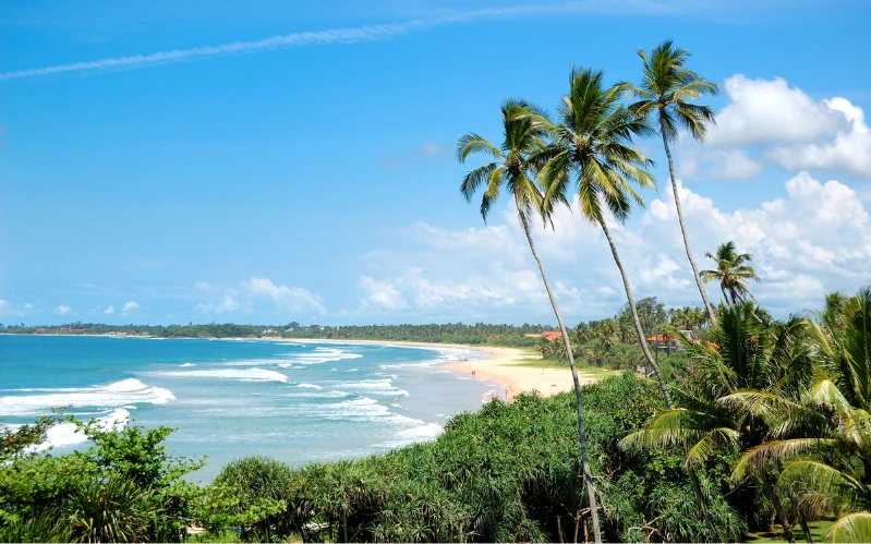 Day 10: Farewell Sri Lanka