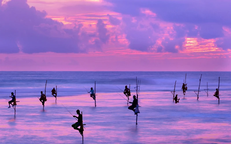 Day 10: Sunrise Safari & Coastal Escape to Galle