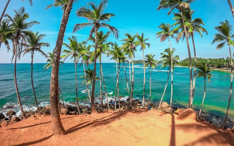 Sri Lanka Family Adventure