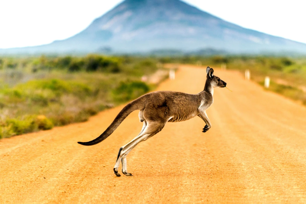 Gay Group Trip: Australia Uncovered