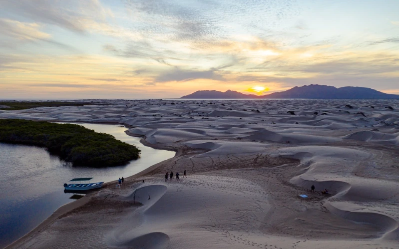 Day 10: A Close Encounter with Grey Whales in Magdalena Bay