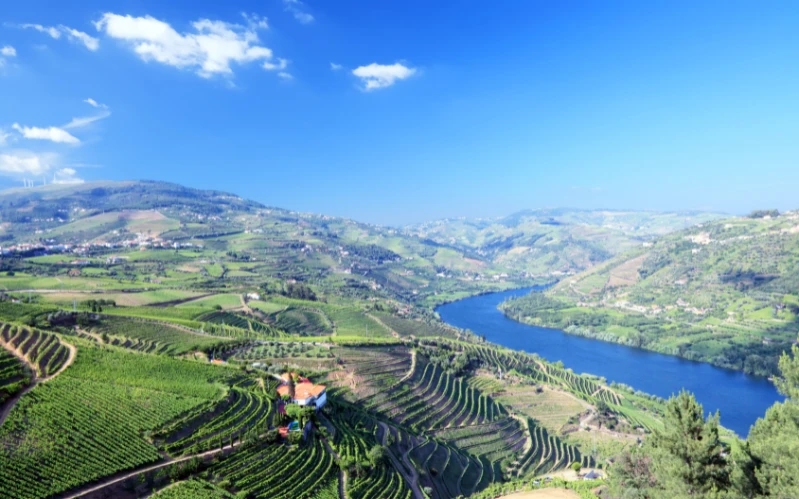 Gay Group Trip: Lisbon and The Douro River