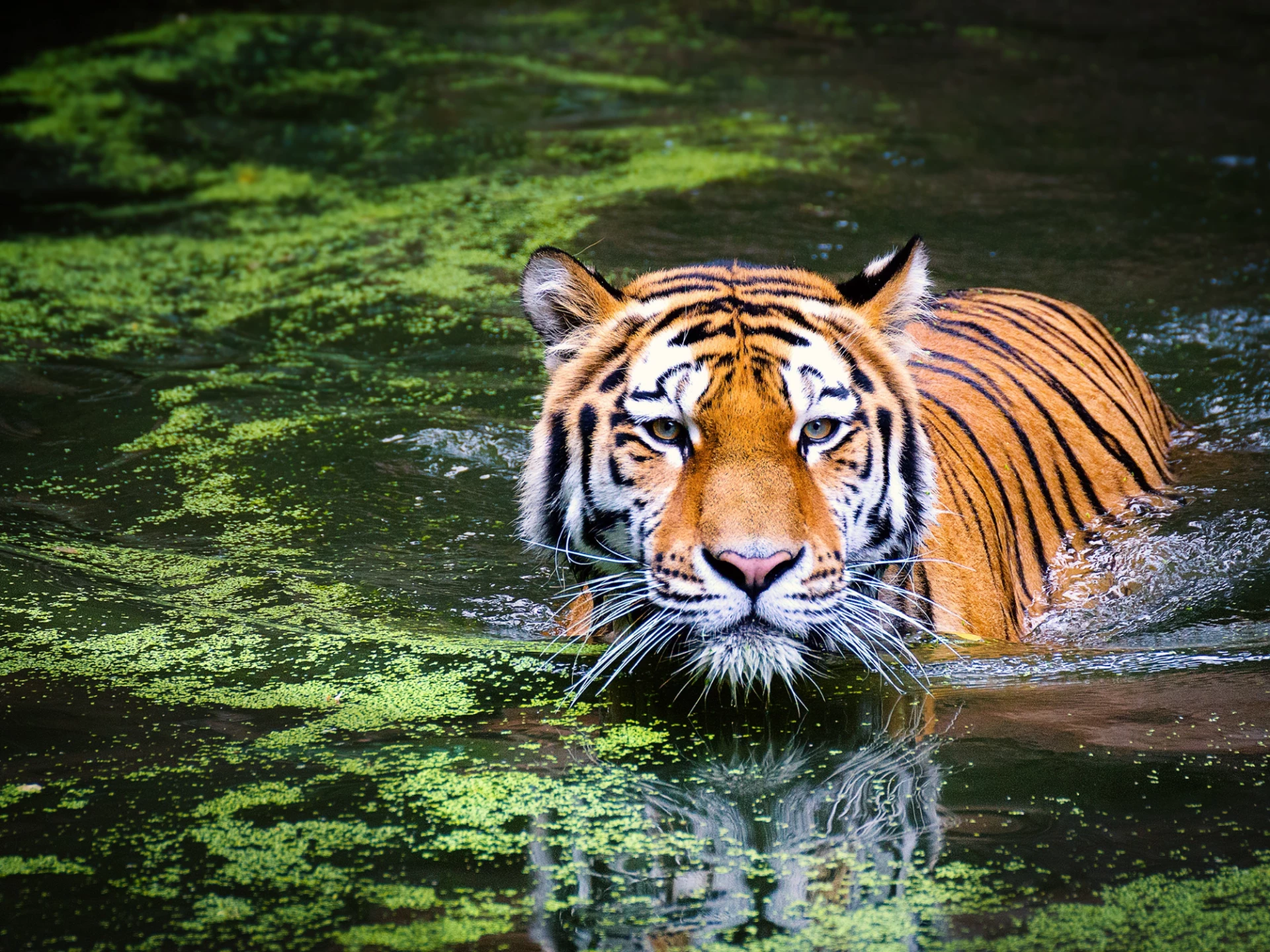 Gay Group Trip: The Jewels Of India