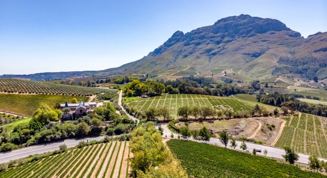 Days 5-6: Stellenbosch