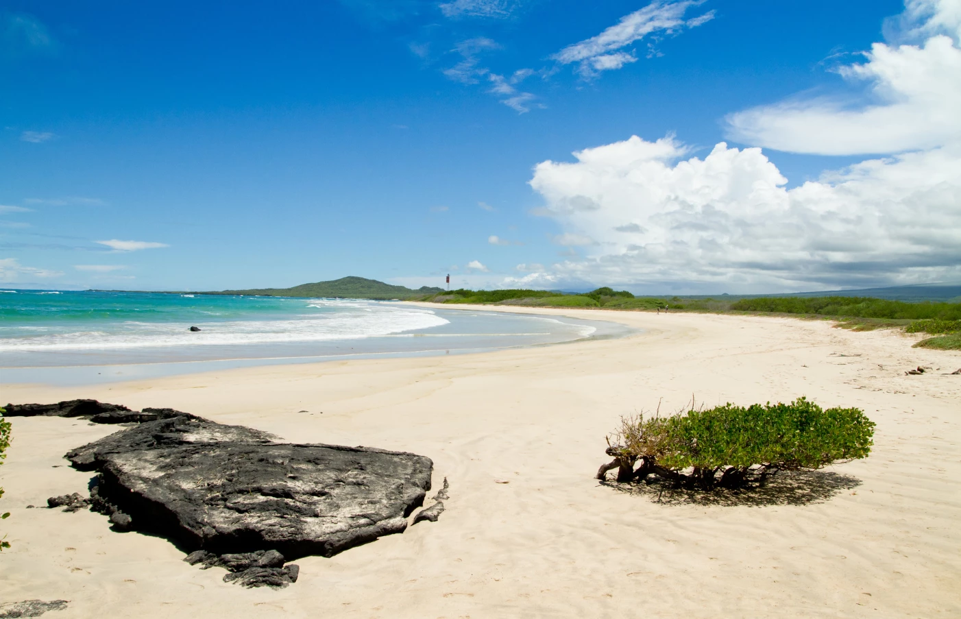 Gay Group Trip: Luxury Galapagos Cruise