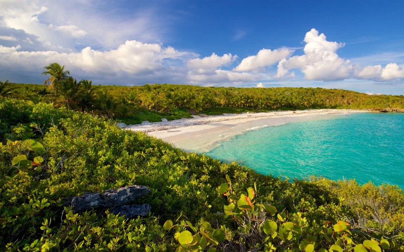 Timeless Puerto Rico: Culture, Coastlines and Canopies
