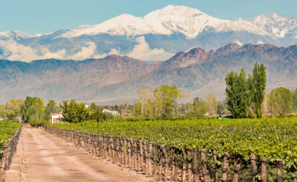 Wine And Dine In Chile & Argentina