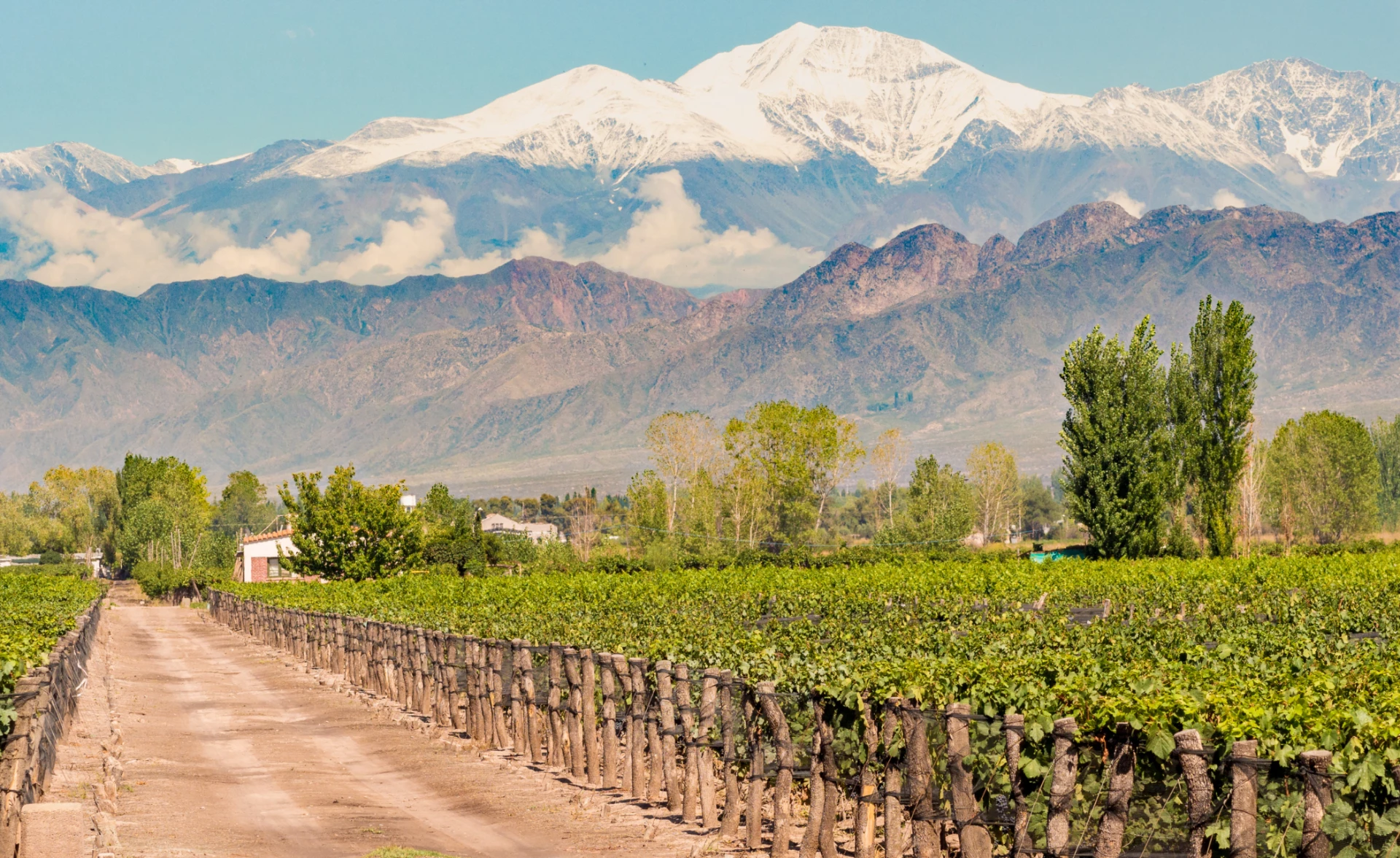 Wine And Dine In Chile & Argentina