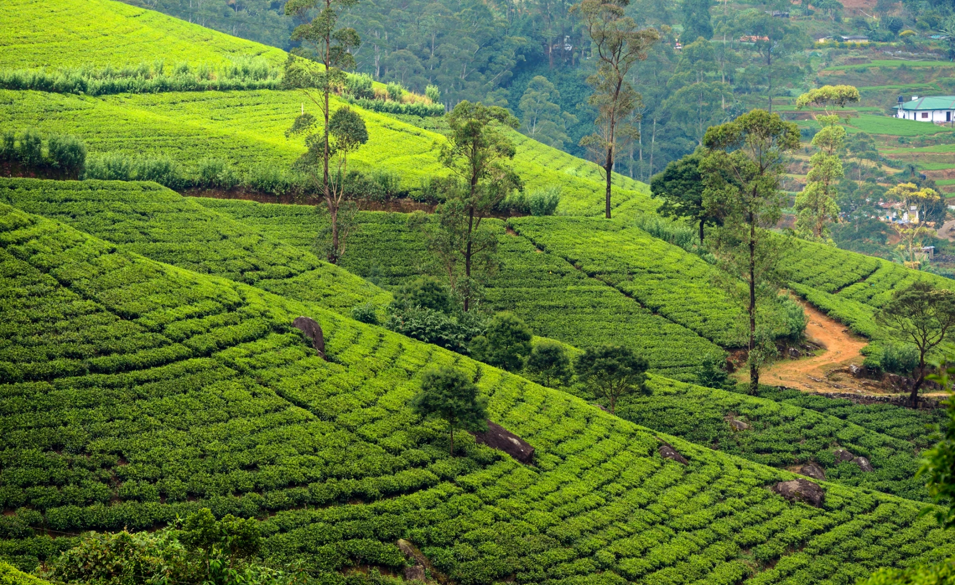 Indonesia