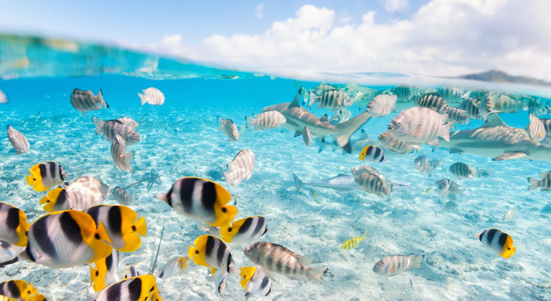 French Polynesia: Honeymoon Island Hopping