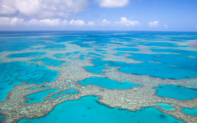 Days 7–10: Port Douglas