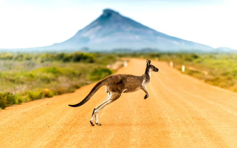 Classic Australia Tour