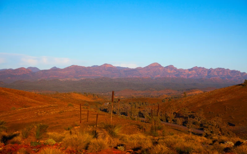 Western Australia: Wildlife and Wine Tour
