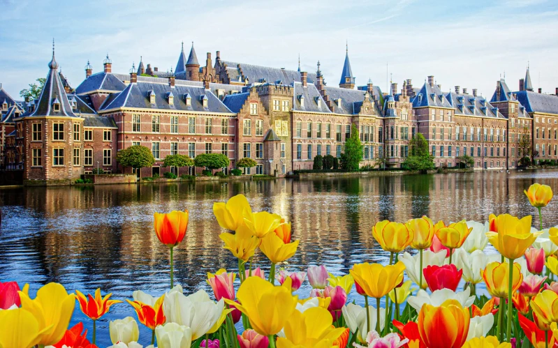 Luxury Netherlands City Break: The Hague to Rotterdam