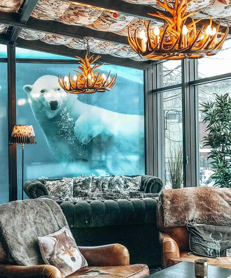 Rovaniemi Arctic Hotel