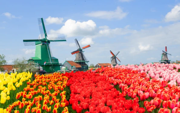European Tour: Amsterdam, Paris and London