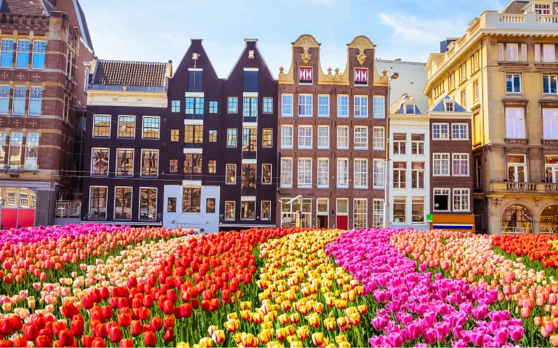 Luxury Netherlands City Breaks: Greater Amsterdam