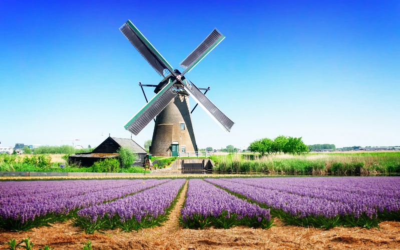 Classic Tour of The Netherlands