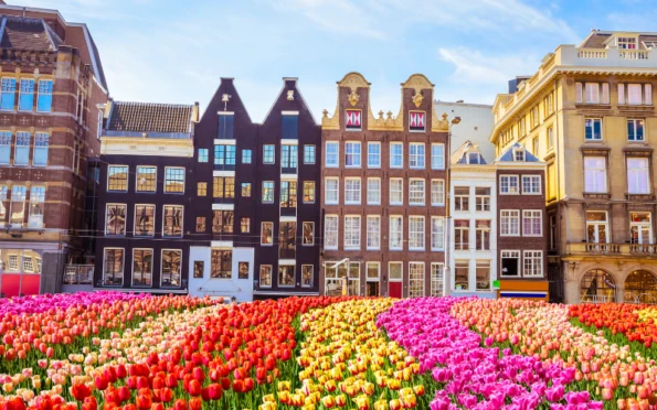 World War History Tour: The Netherlands, Belgium and France