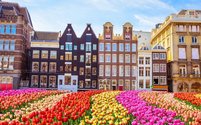 World War History Tour: The Netherlands, Belgium and France