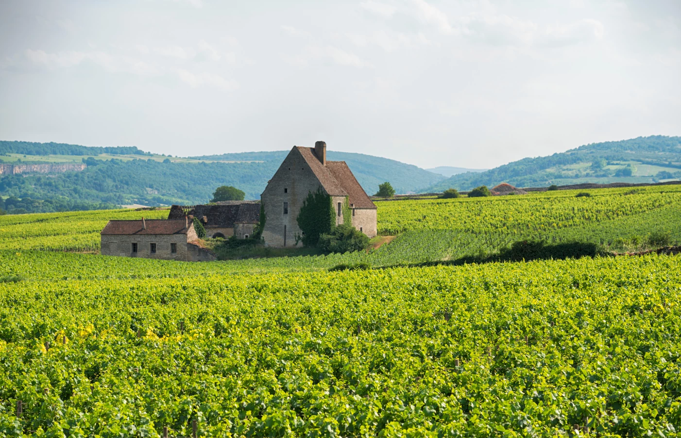 Gay Group Trip: The Essence of Burgundy & Provence River Cruise
