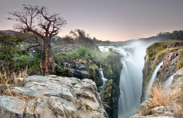 Deserts & Savannas Namibia Safari