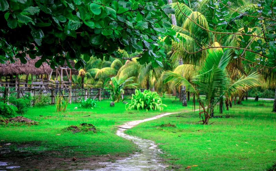 The Seychelles and the Maldives